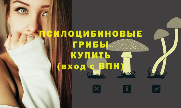 стафф Верея
