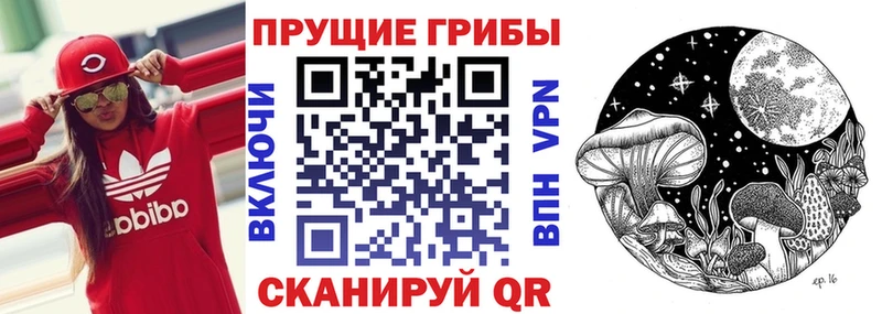 Галлюциногенные грибы прущие грибы  Купить где  Богучар 